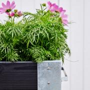 Cubic blomsterkasse m/hjul – 120×50×45 cm – sort – 18261-15 DETAIL88709