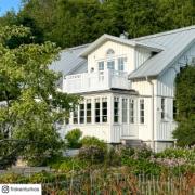 Vinesse hegn - 150×96 cm - hvid - 13405-13 DETAIL86454