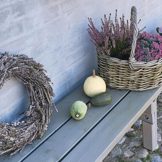 Country bænk med græskar
