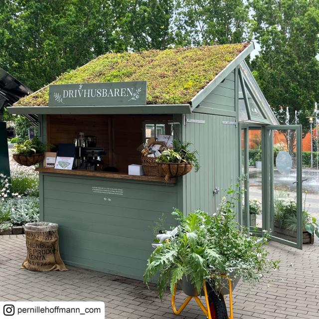 Redskabsrum/drivhus - 6,6 m² - ubehandlet - 18001 DETAIL80706
