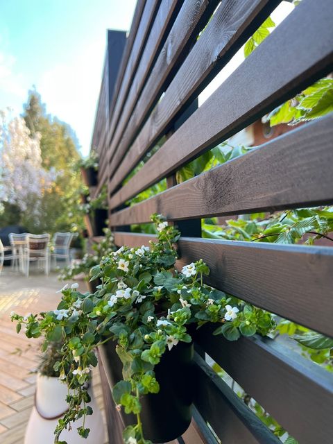 Havehegn med grønne planter